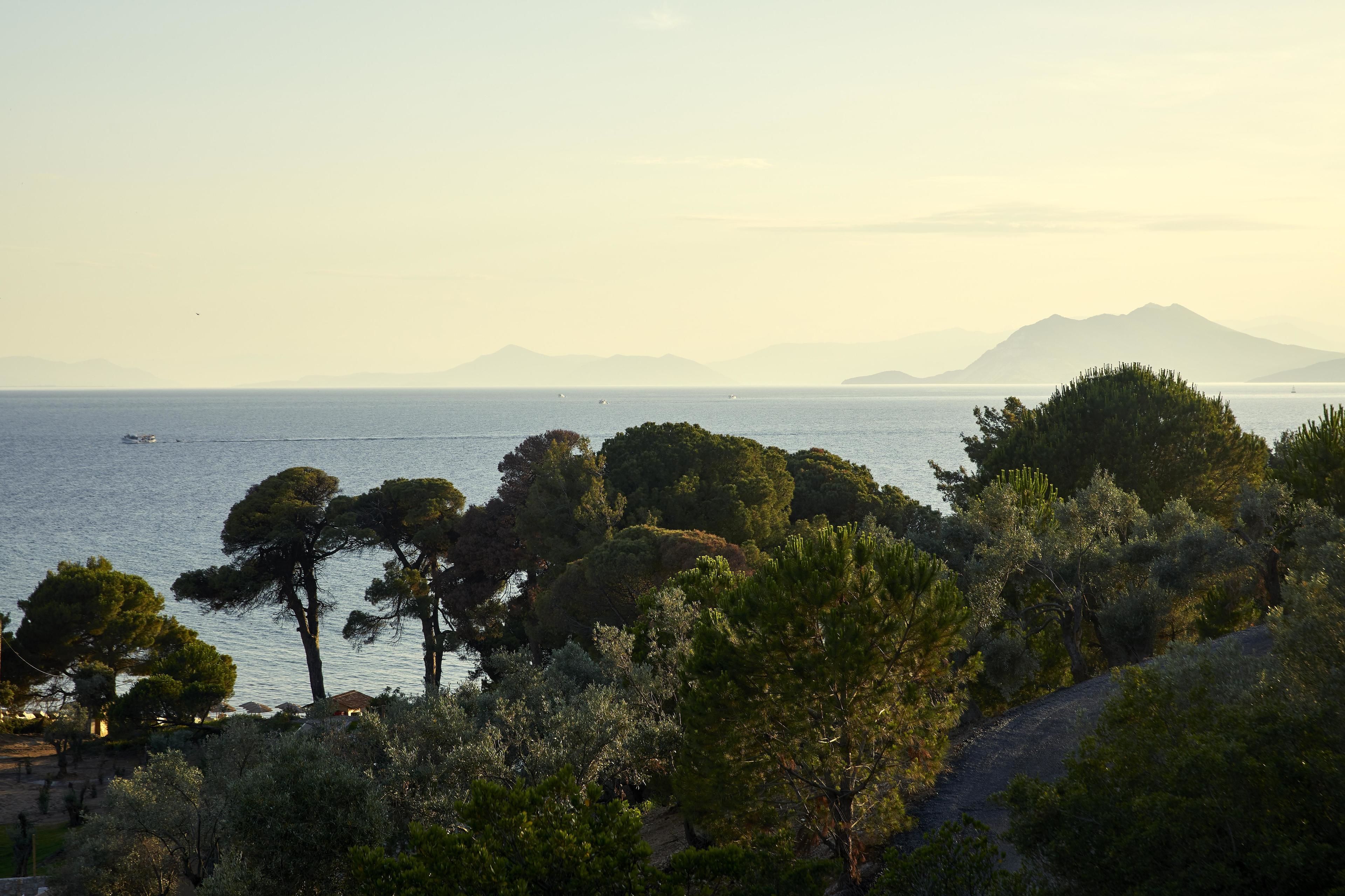 Foto - ELIVI Skiathos