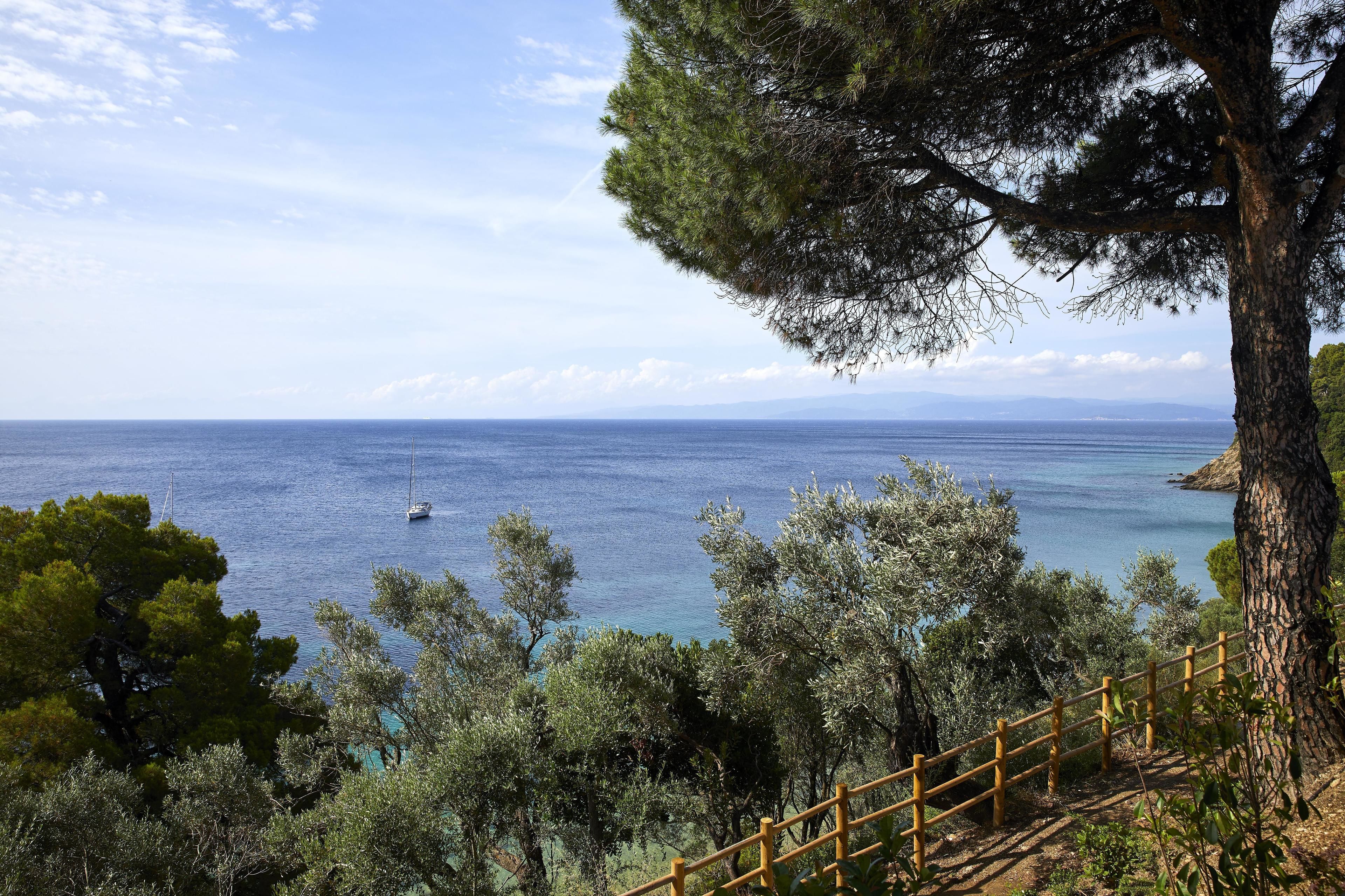 Foto - ELIVI Skiathos