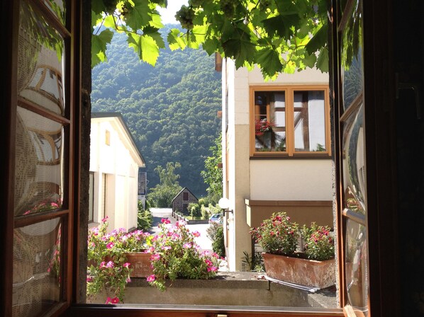 View from property - Hotel Weingut Dehren (Ellenz-Poltersdorf)