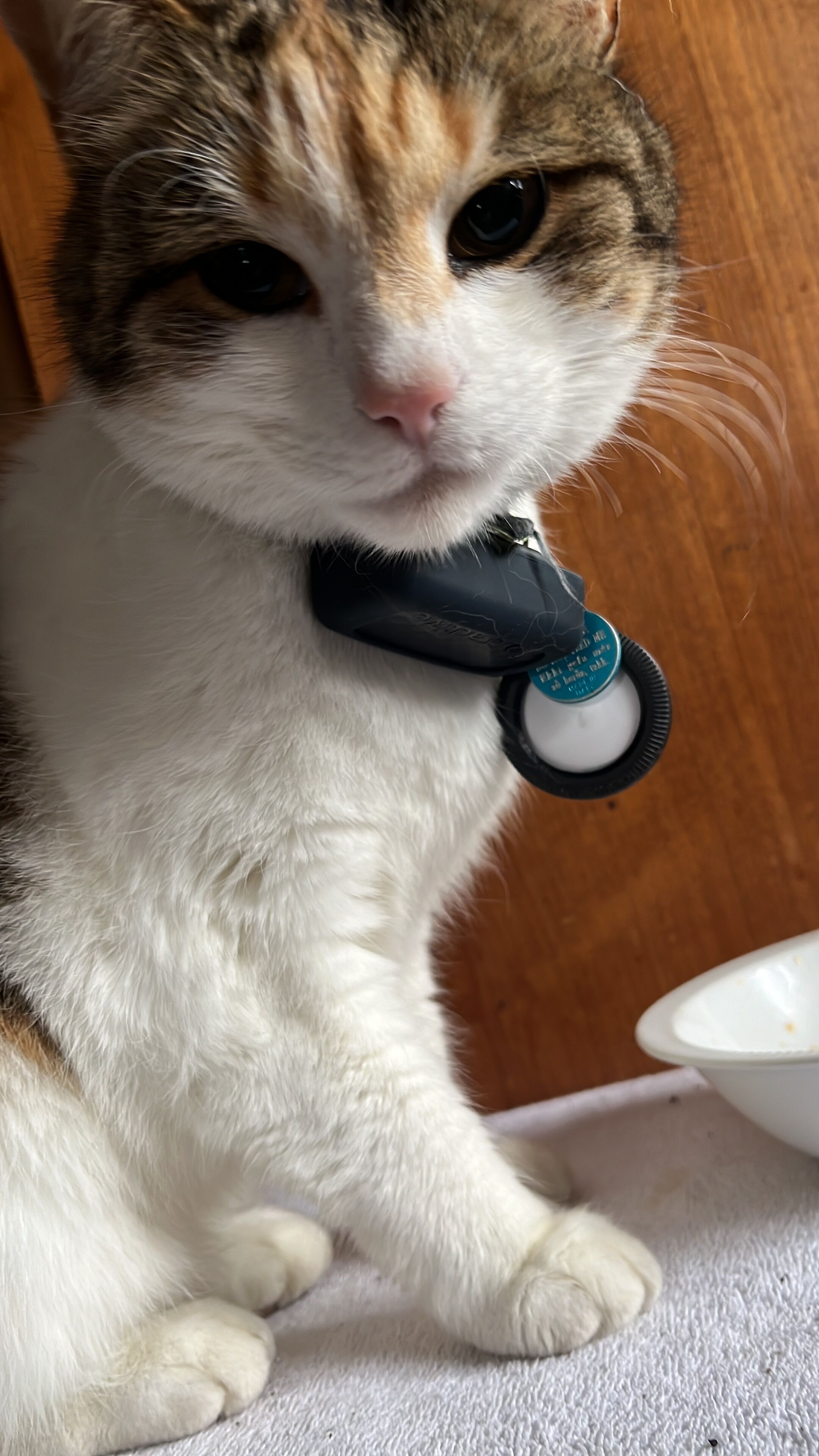 Foto - Guesthouse 1x6