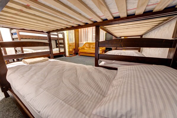 Shared Dormitory, Mixed Dorm, City View