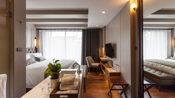 Een hotelkamer met een bed, een bureau met een plant, een spiegel en een televisie.