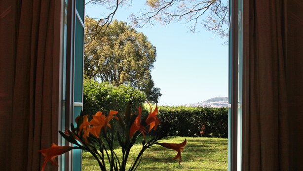 A view through an open door with a vase of orange flowers on a table. - Quinta das Malvas (Funchal)