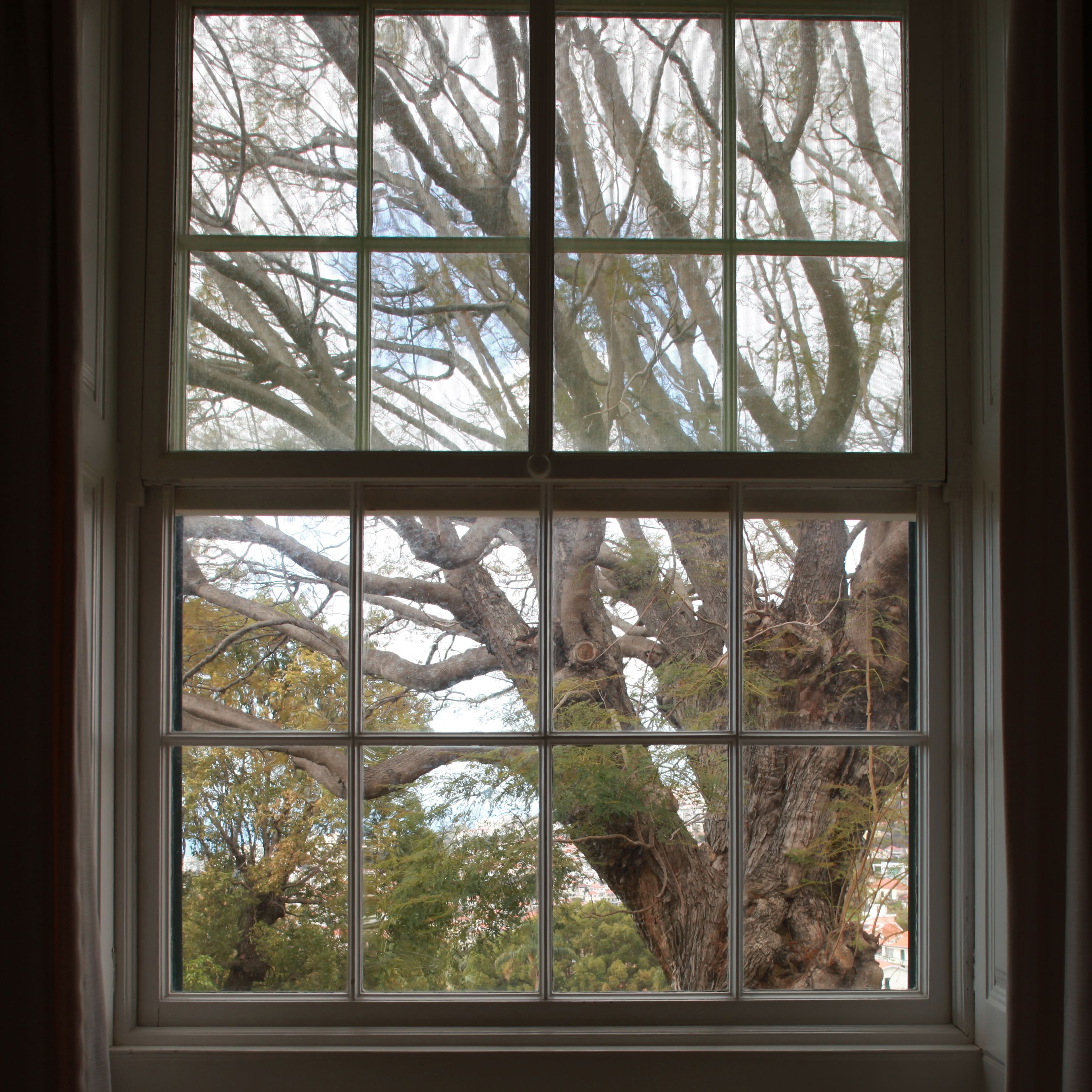 Photo - Quinta das Malvas - Quinta de Santa Luzia