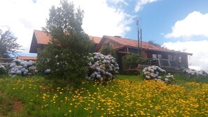 Área da propriedade