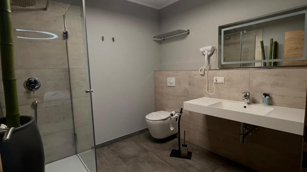 A modern bathroom with a glass shower enclosure, a toilet, a sink with a mirror, and a towel rack.