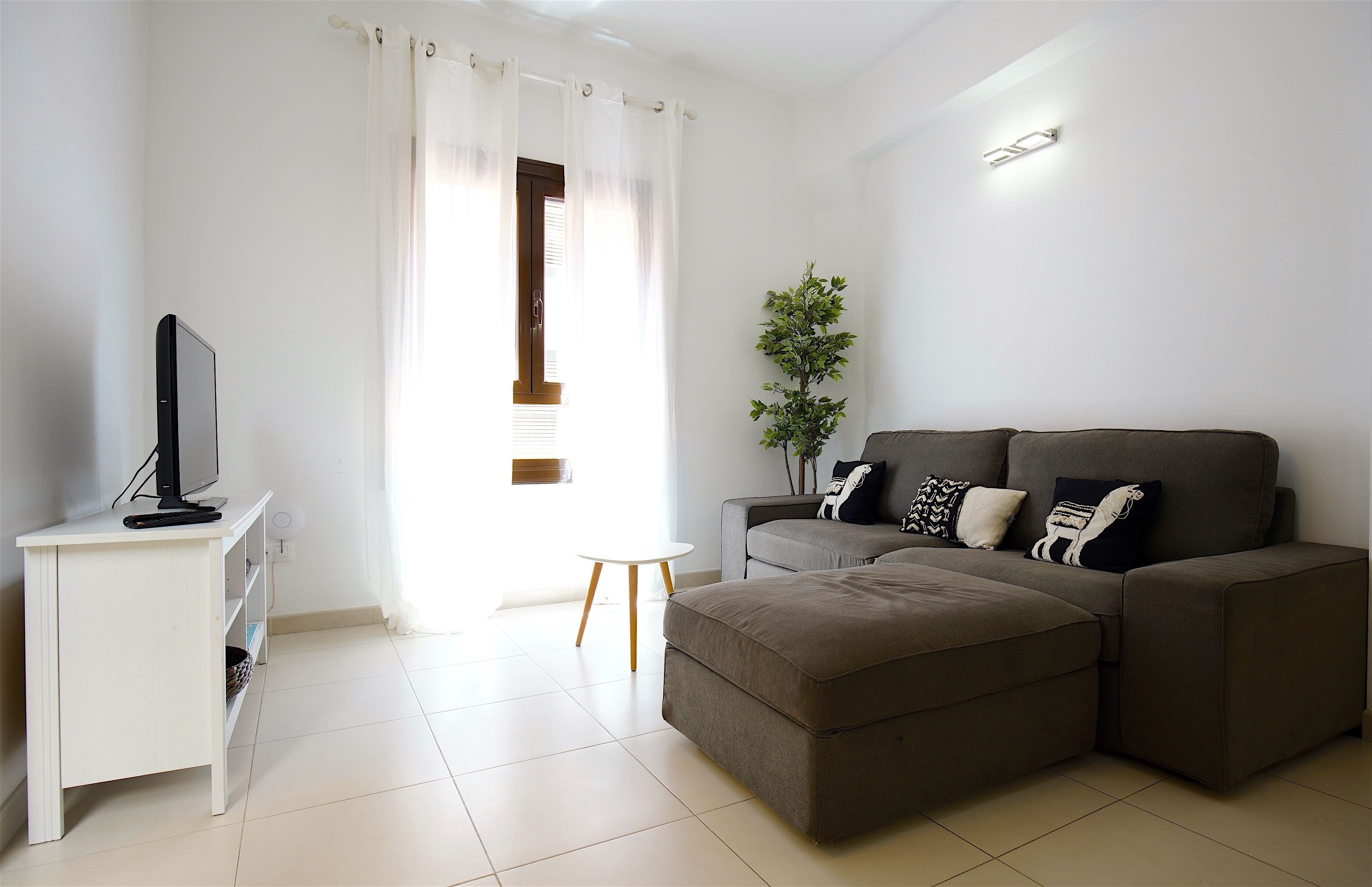 A modern living room with a grey sofa, a small white table, a TV on a white stand, and a plant.