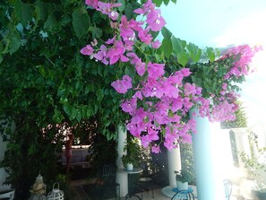 Vila | Terraço/pátio