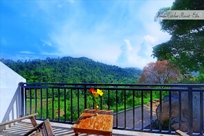 Vista a la montaña