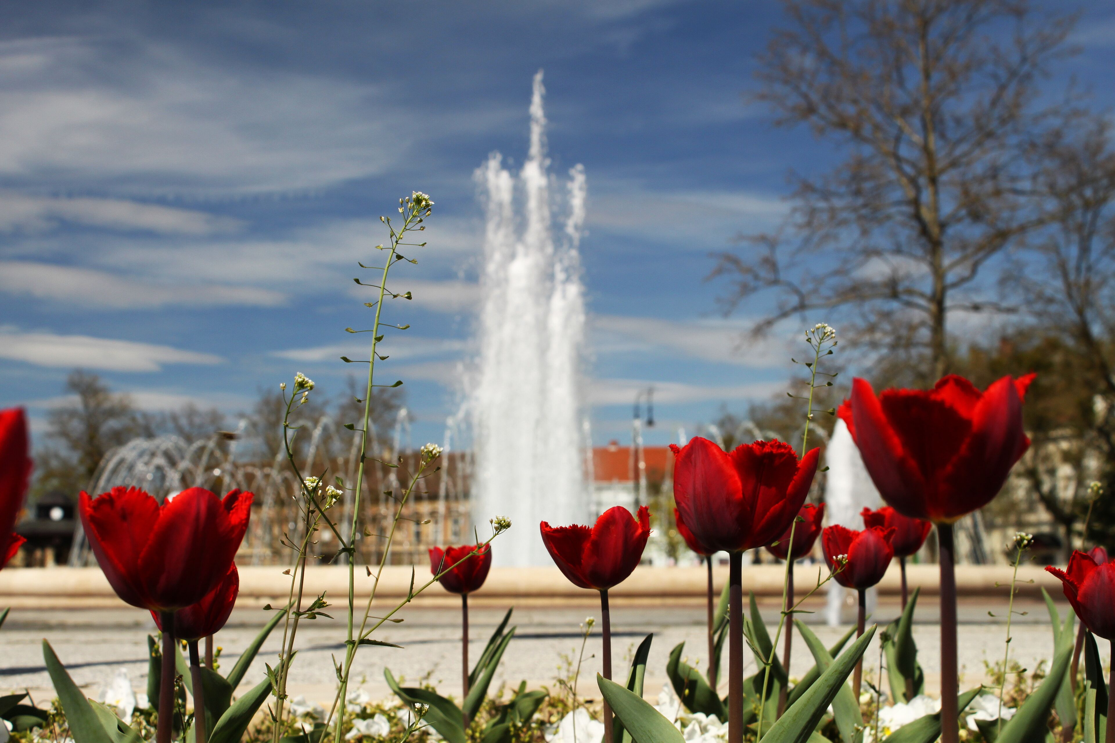 1 bedroom, premium bedding, minibar, desk