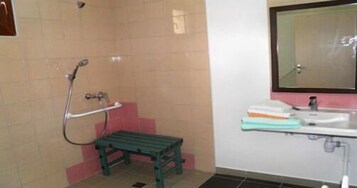 Shower, free toiletries, hair dryer, towels