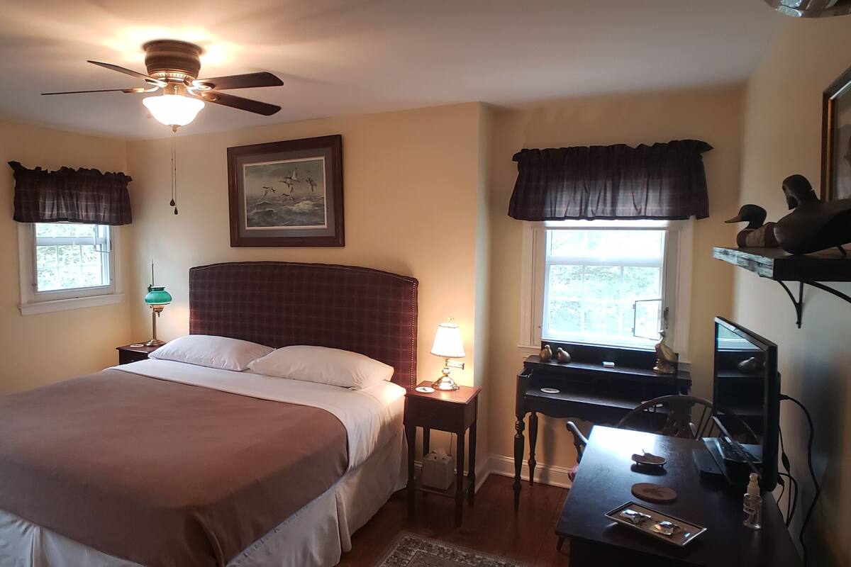 A bedroom with a bed, a desk, a chair, a ceiling fan, and two windows with curtains.