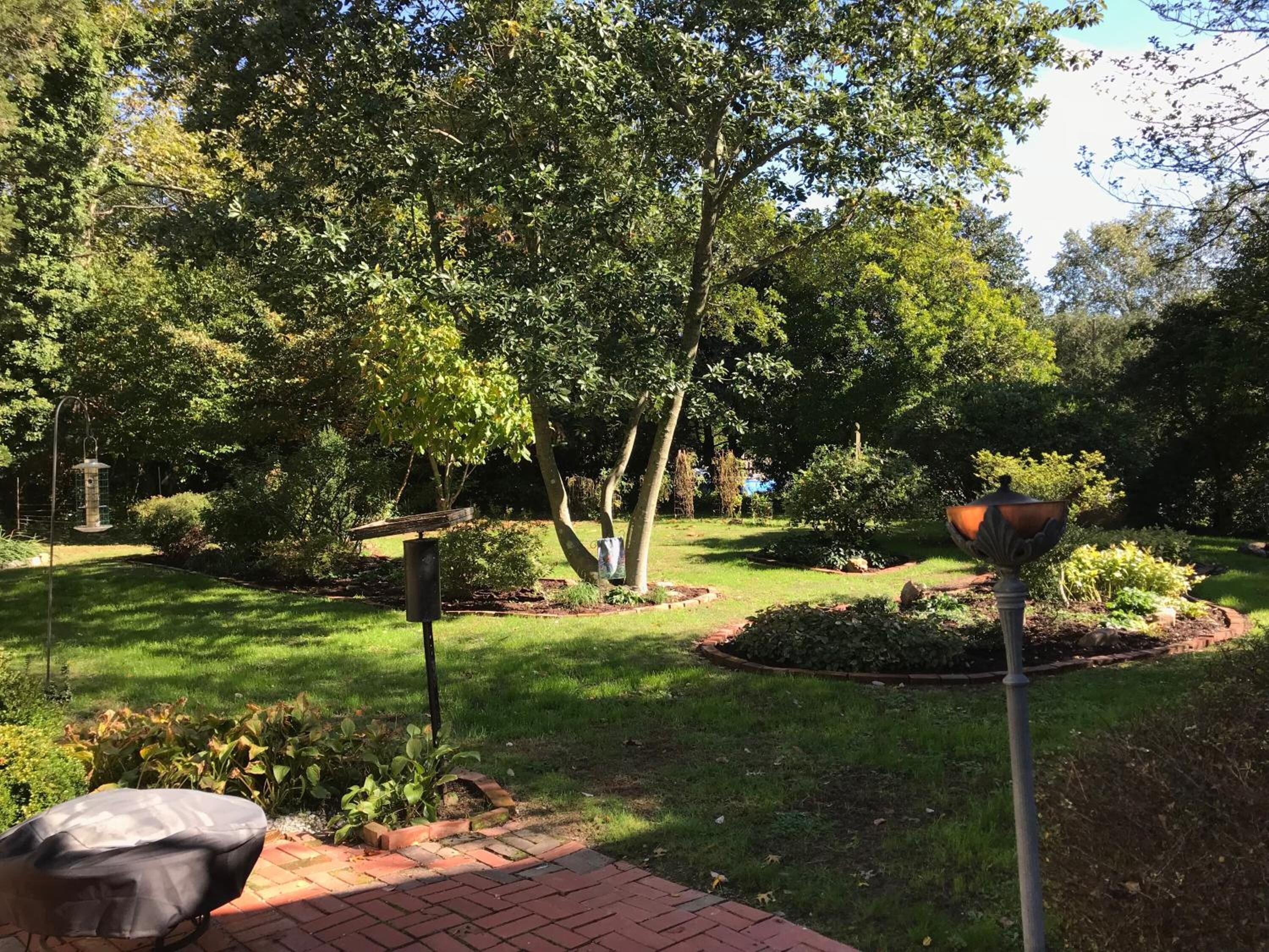 Un jardín con un sendero pavimentado, un comedero para pájaros y un bebedero.