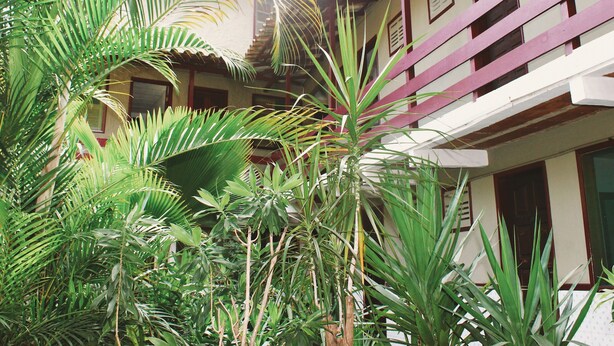 A building with a balcony and a lush garden with various plants.