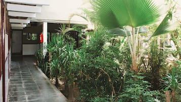 Jardim