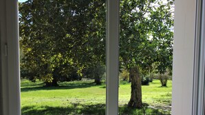A window with a view of a grassy area and trees. - Au Cocon de Sologne (Soings-en-Sologne)