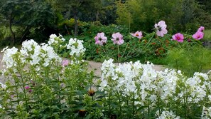 Un jardín con flores blancas y rosadas, follaje verde y un sendero.