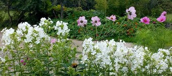 Lisieux House on Lough Neagh