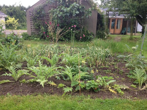 A garden with various plants and a small building in the background. - Lisieux House on Lough Neagh (Craigavon)