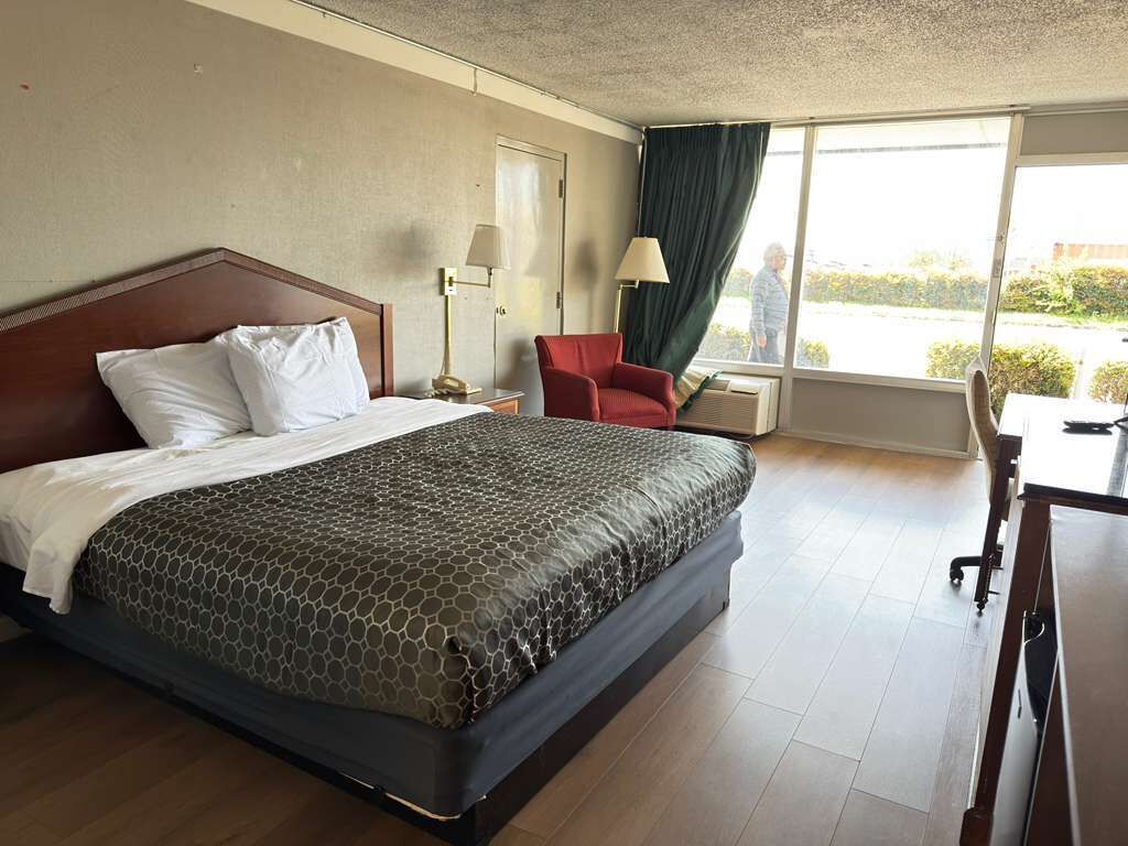 Desk, iron/ironing board, free WiFi, bed sheets