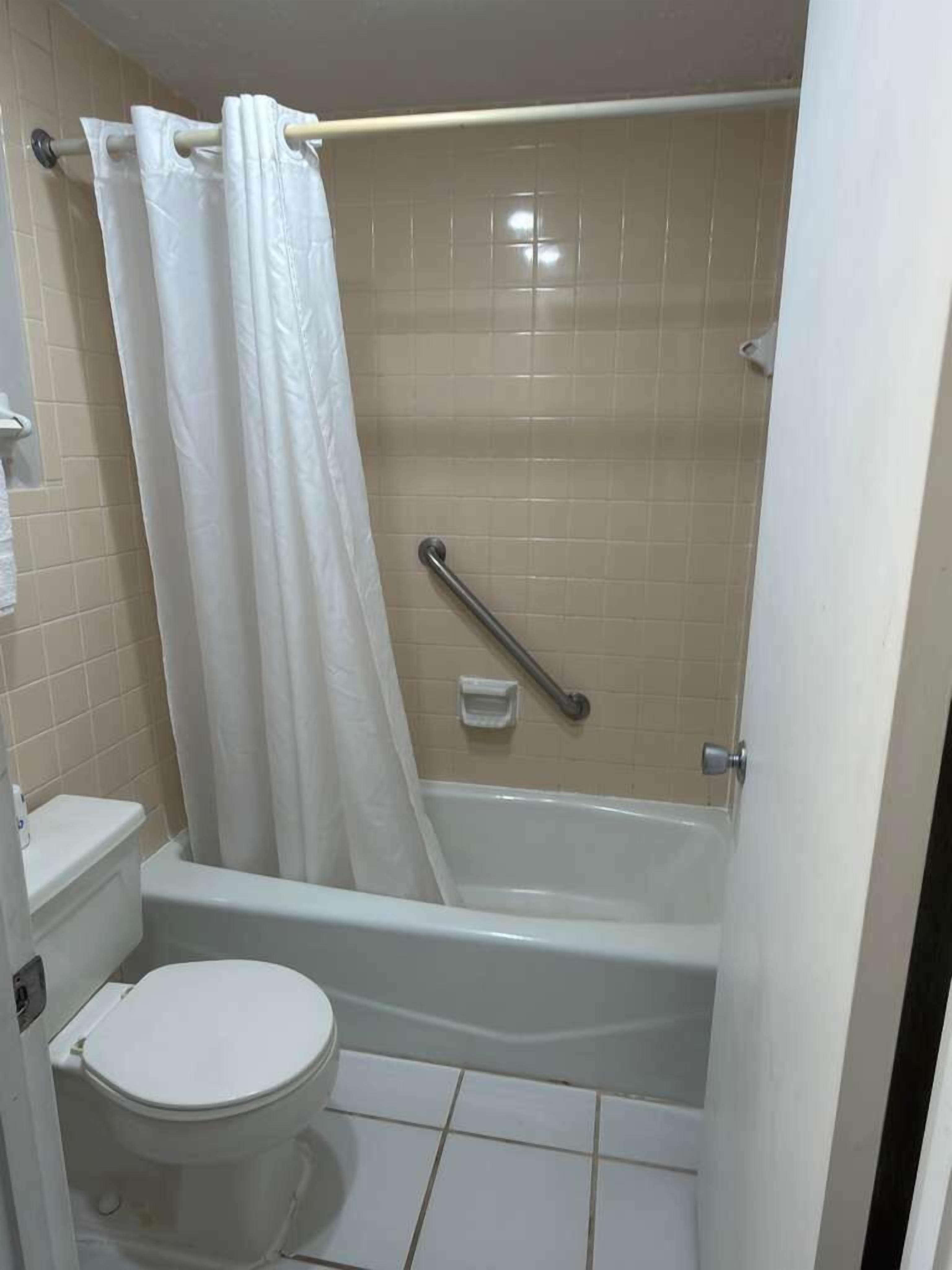 A bathroom with a toilet, a bathtub, and a shower curtain.