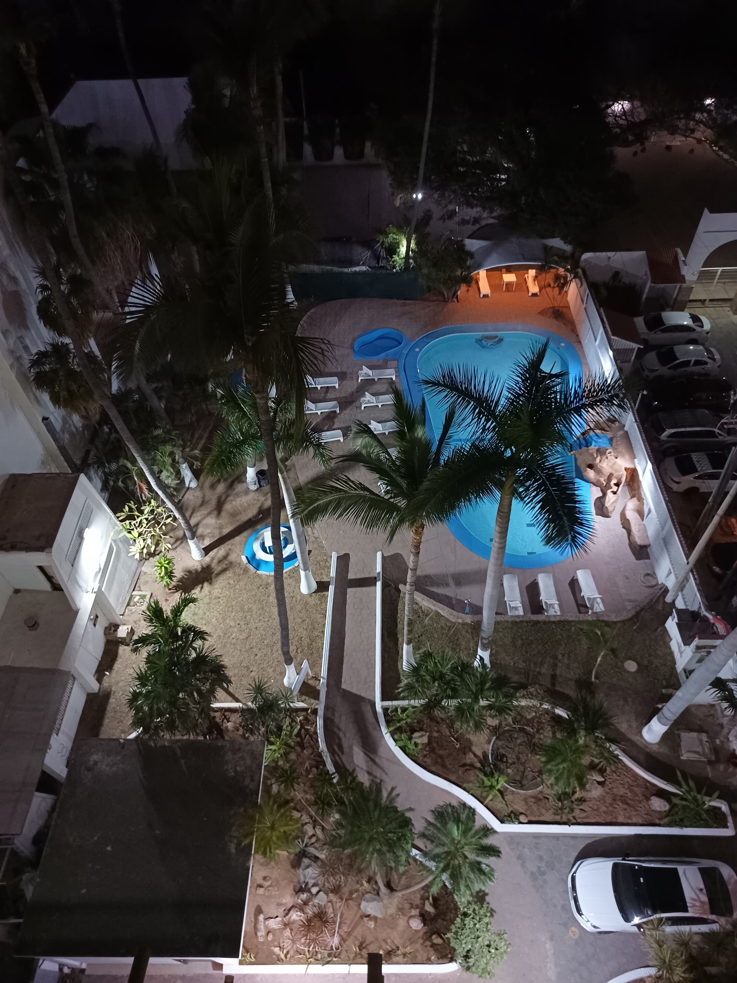 A rooftop pool area with lounge chairs, a swimming pool, and palm trees.