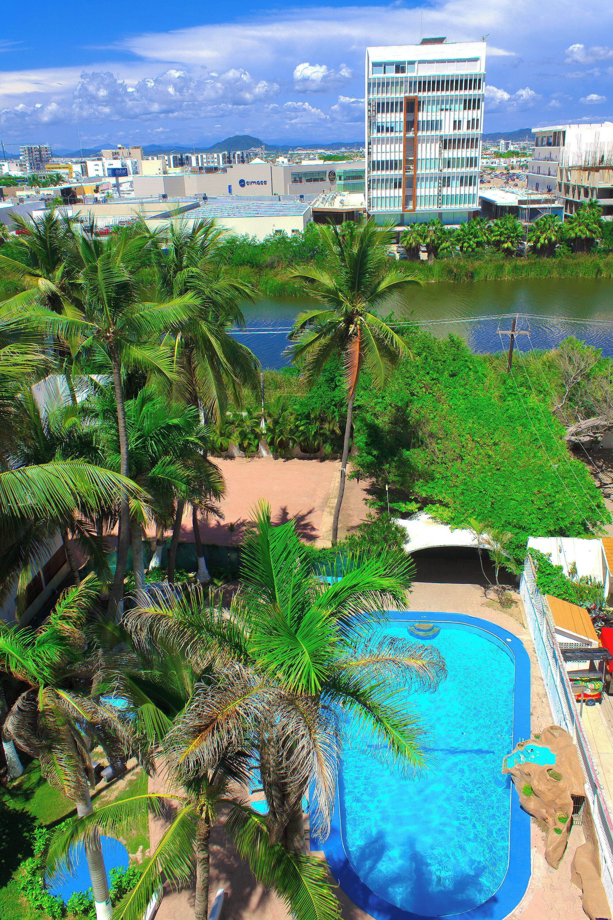 A pool surrounded by palm trees, a building in the background, and a body of water.