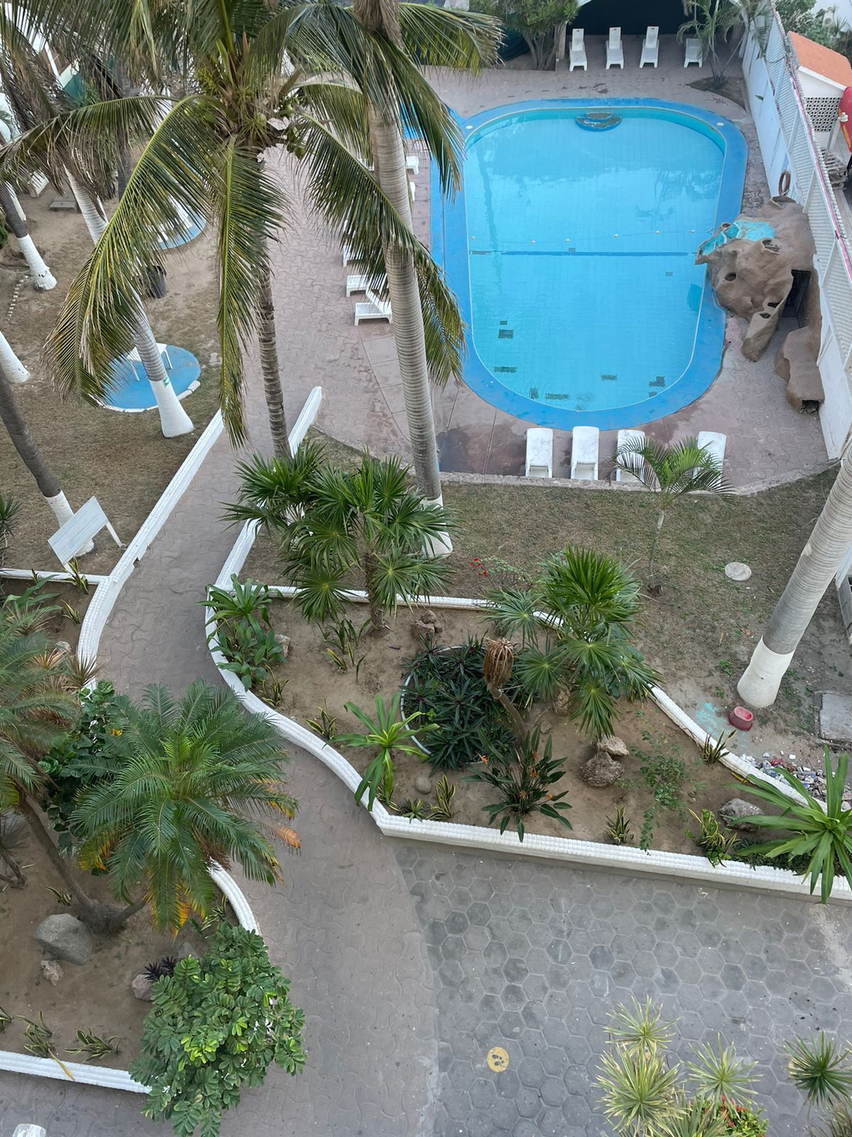 A pool area with palm trees, lounge chairs, and a hexagonal tiled walkway.