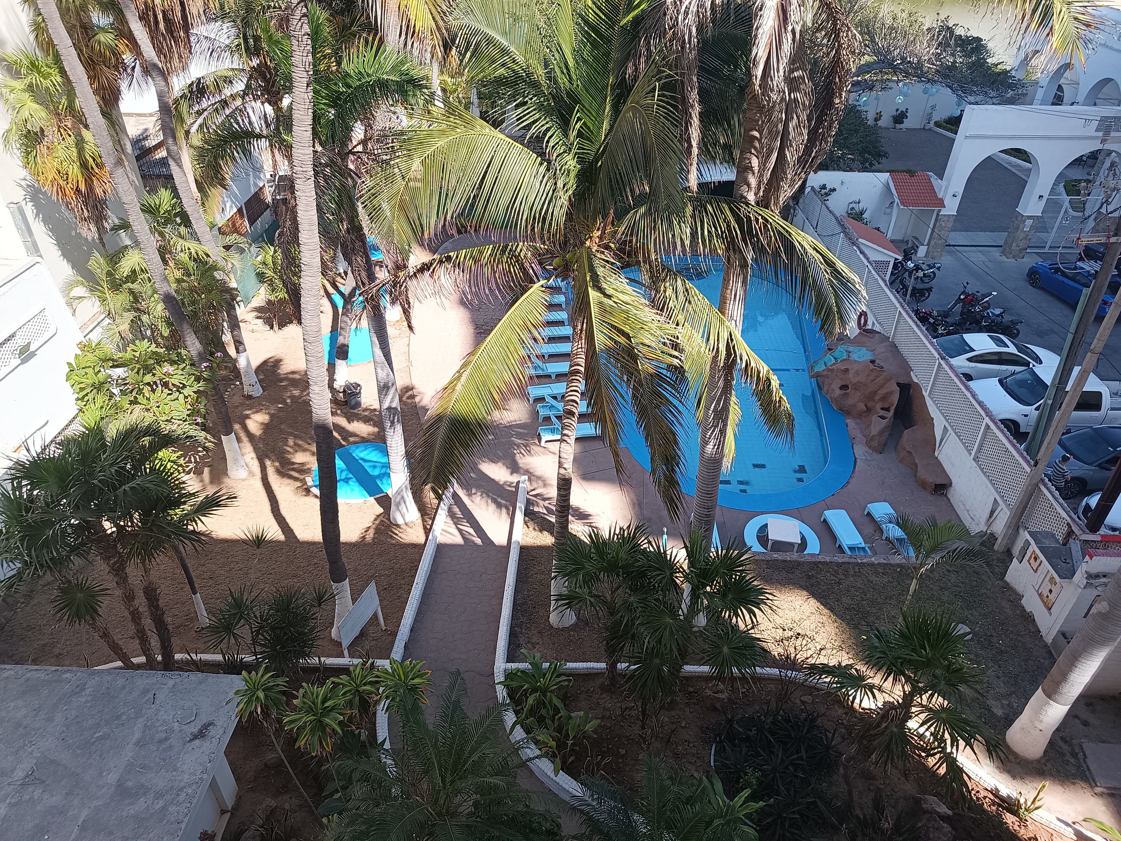 A pool area with palm trees, lounge chairs, and a large rock sculpture.