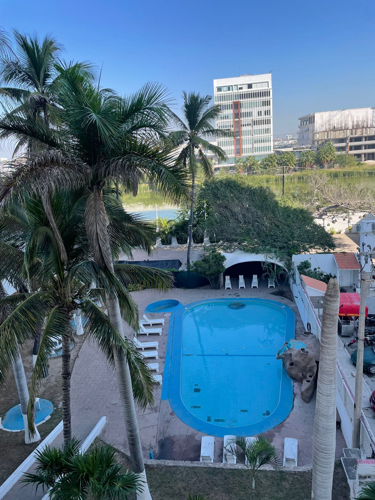 A swimming pool surrounded by palm trees and lounge chairs, with a view of a modern building in the background.