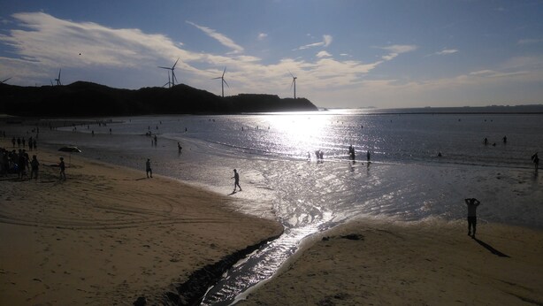 A beach with wind turbines in the background and a clear sky. - Yeongheungdo Seayard Pension (Incheon)