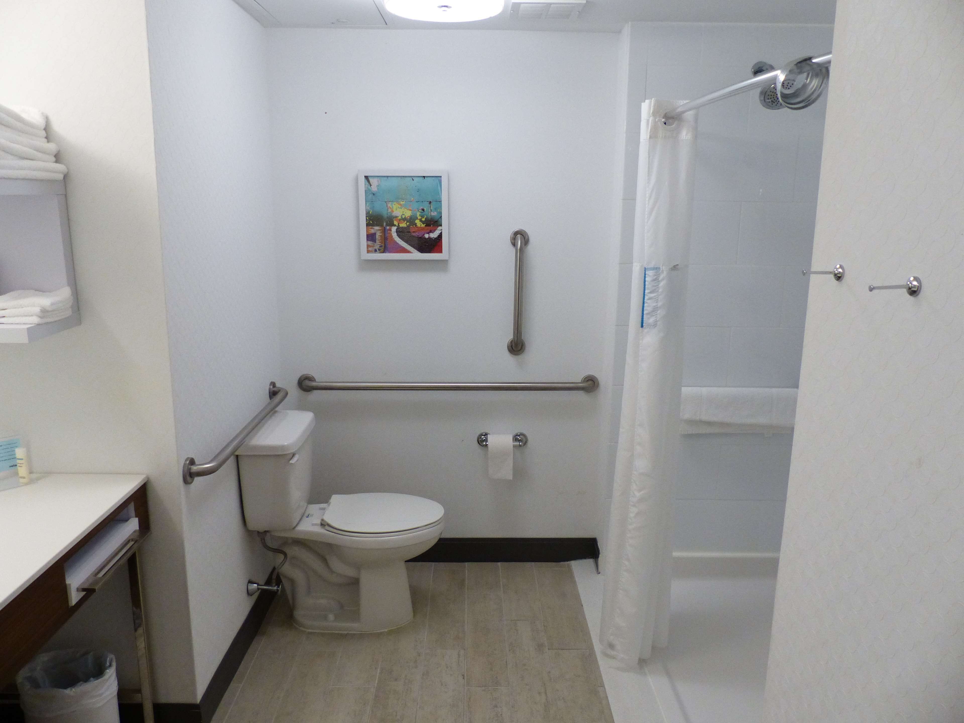 A bathroom with a toilet, a shower, and a handrail.