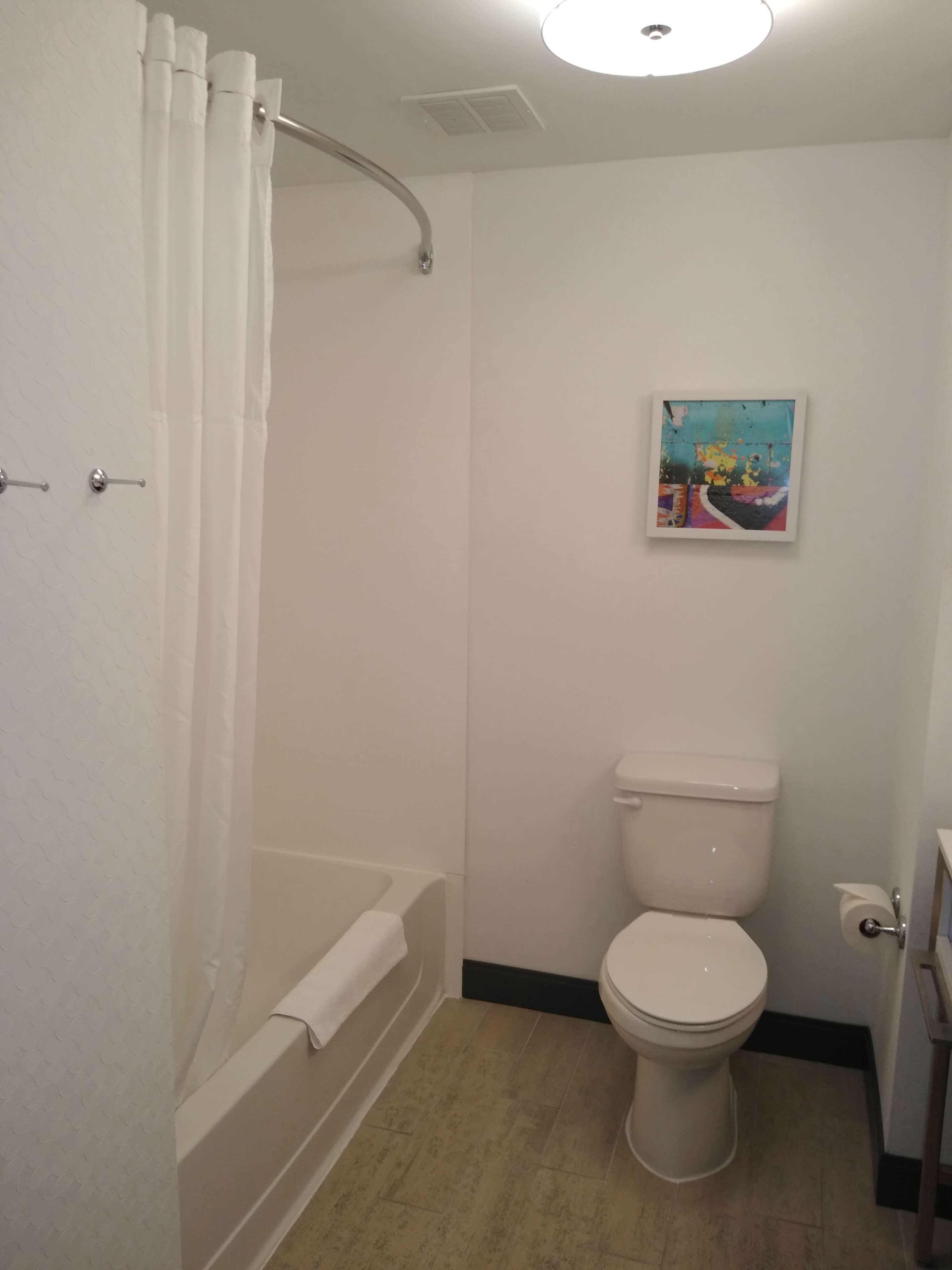 A bathroom with a bathtub, toilet, and a shower curtain.