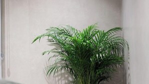 Interior - Hotel Padam (Tirana)