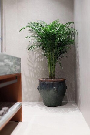 Interior - Hotel Padam (Tirana)