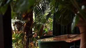 Outdoor dining - Hotel Padam (Tirana)