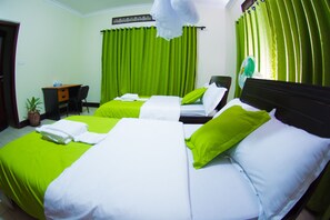 Deluxe Twin Room | Minibar, in-room safe, individually decorated, individually furnished - Mission Guest House (Entebbe)
