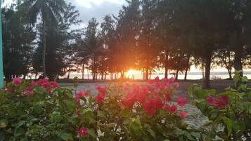 A beach scene with trees and pink flowers in the foreground.