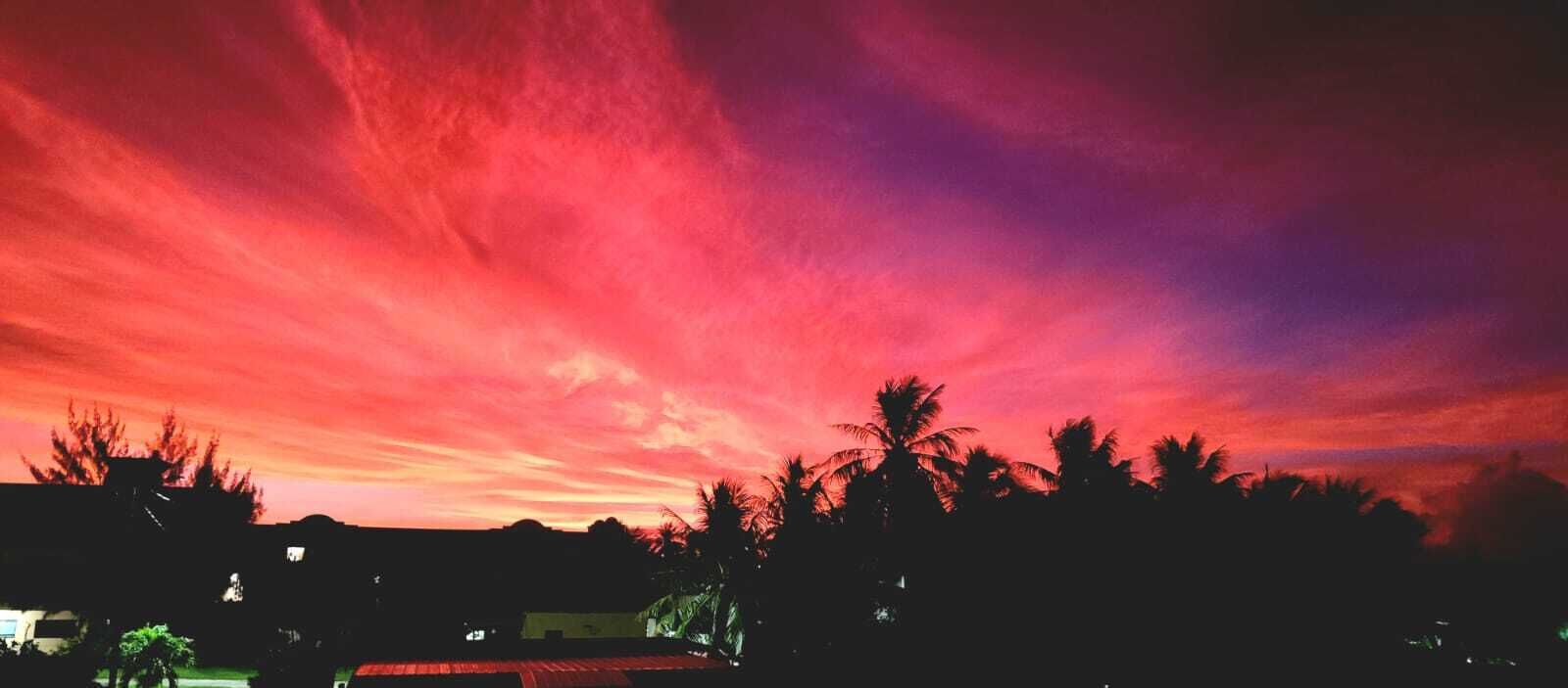standard room, 1 queen bed, garden view | view from room