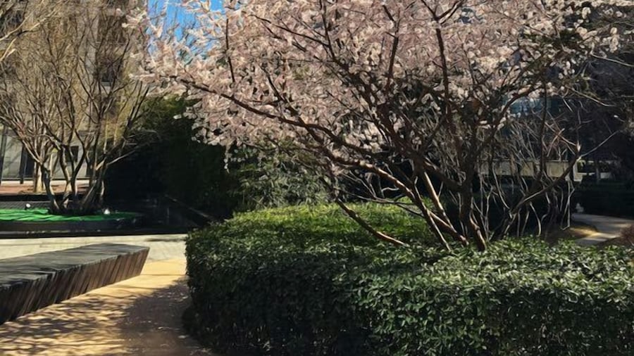 Beijing Yilejia Apartment