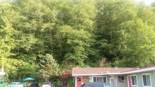 A motel with a parking lot, a building with a red door, and a dense forest in the background. - Shiny Motel (Hoquiam)