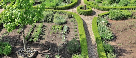 Jardín