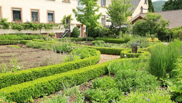 Un jardin bien entretenu, avec des haies soigneusement taillées et une grande variété de plantes.