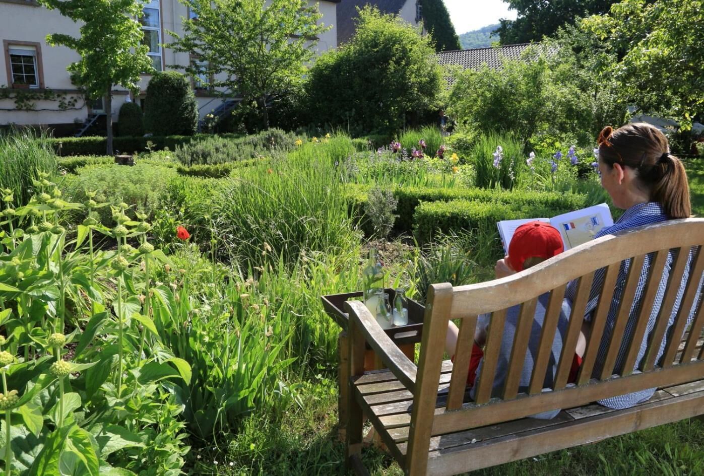A bench in a garden with various plants and flowers.