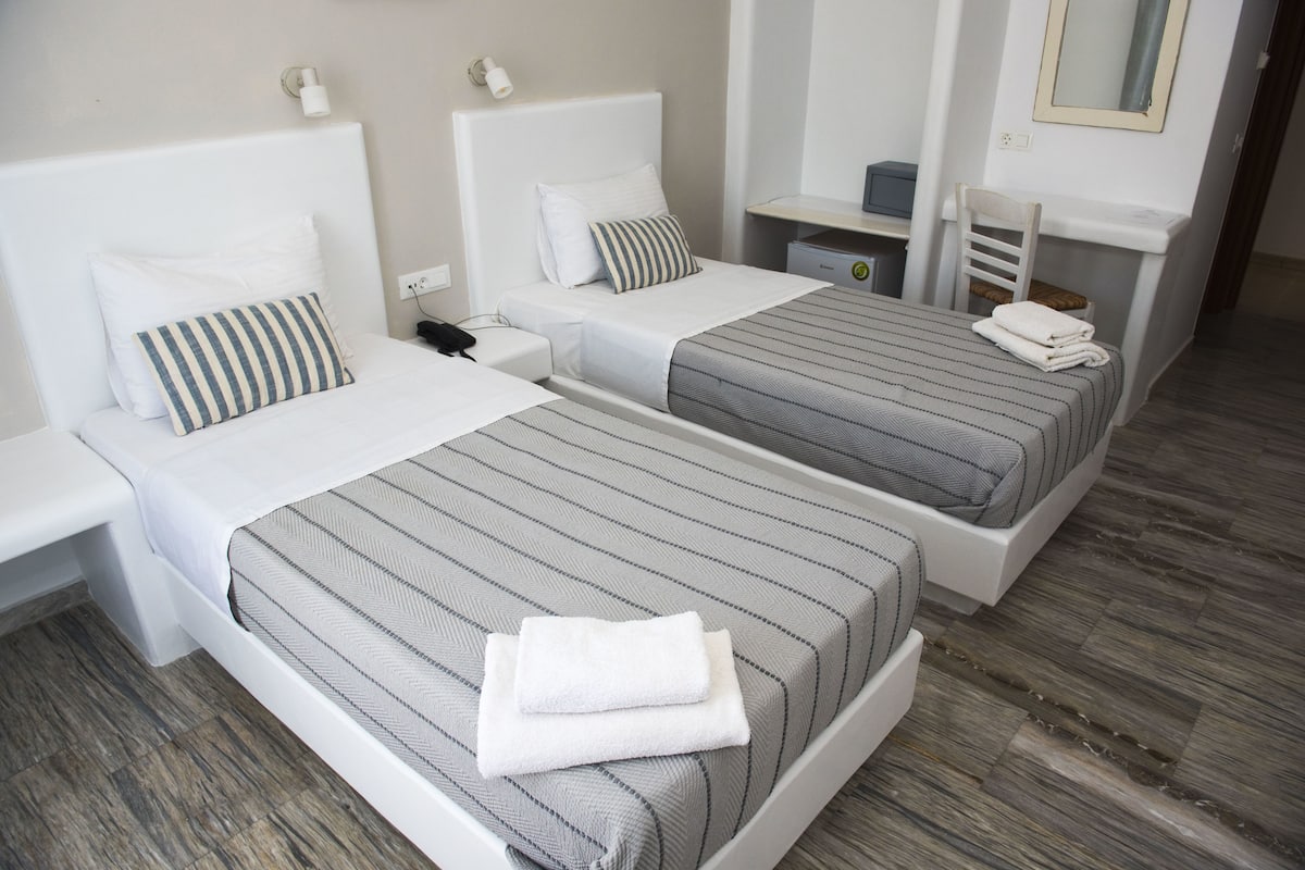 Habitación ejecutiva con 2 camas individuales, vista al jardín | Escritorio y wifi gratis