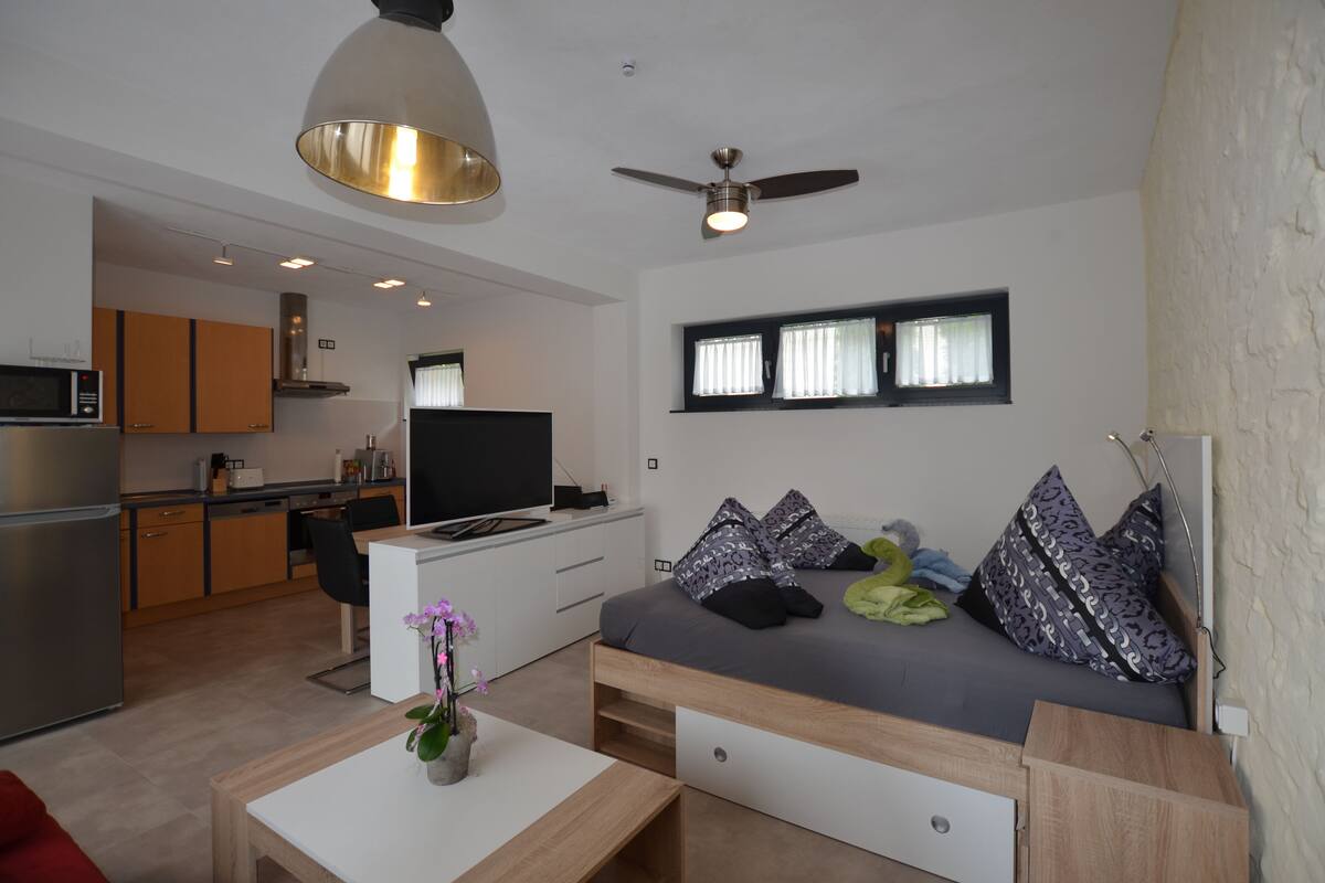 Comfort Loft, 1 Katil Kelamin (Double) dengan Katil Sofa, Non Smoking, Kitchen | Peti besi dalam bilik, meja, ruang kerja komputer riba 