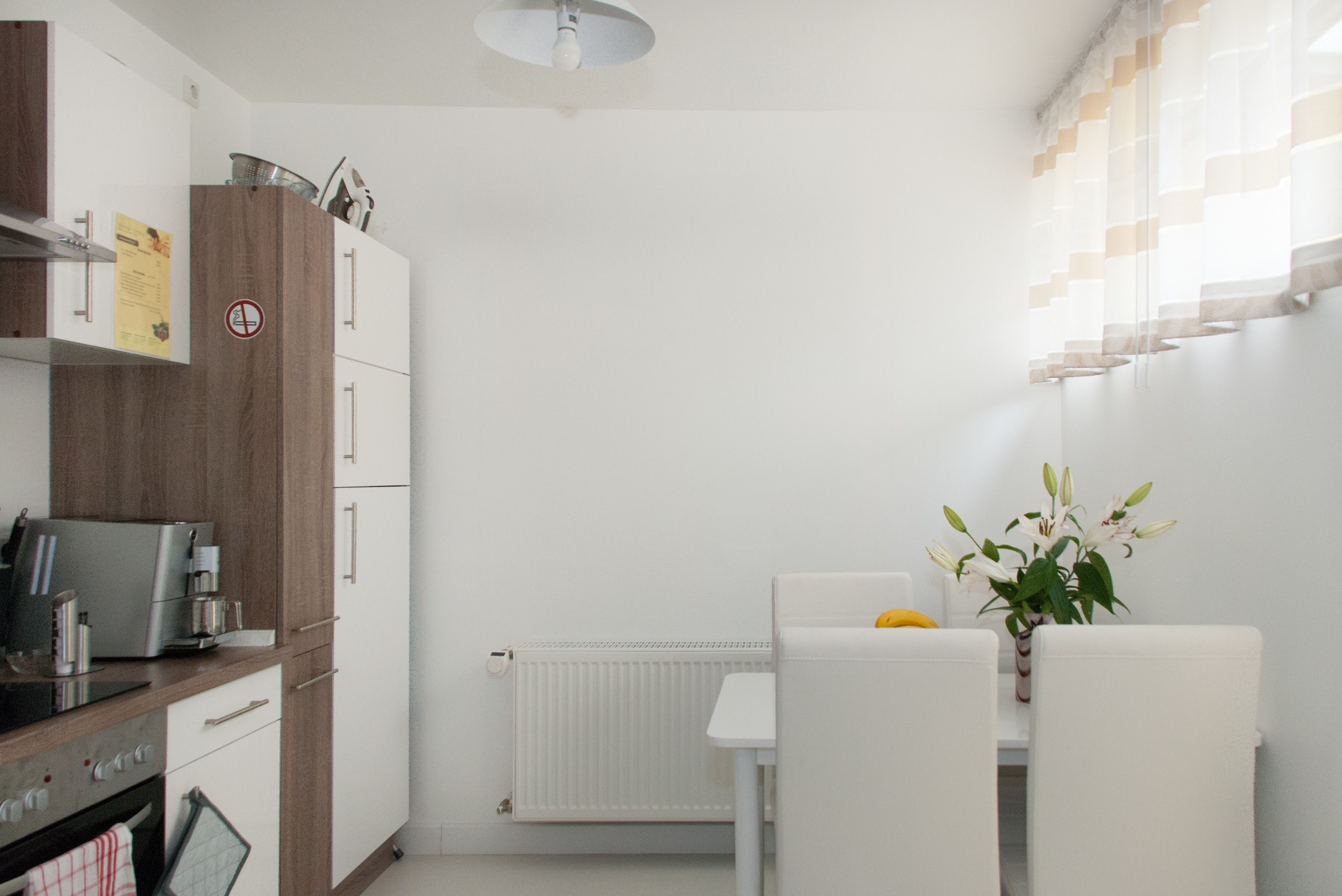 Apartment, 1 Double Bed with Sofa bed, Non Smoking, Kitchen | Private kitchen | Fridge, microwave, oven, stovetop