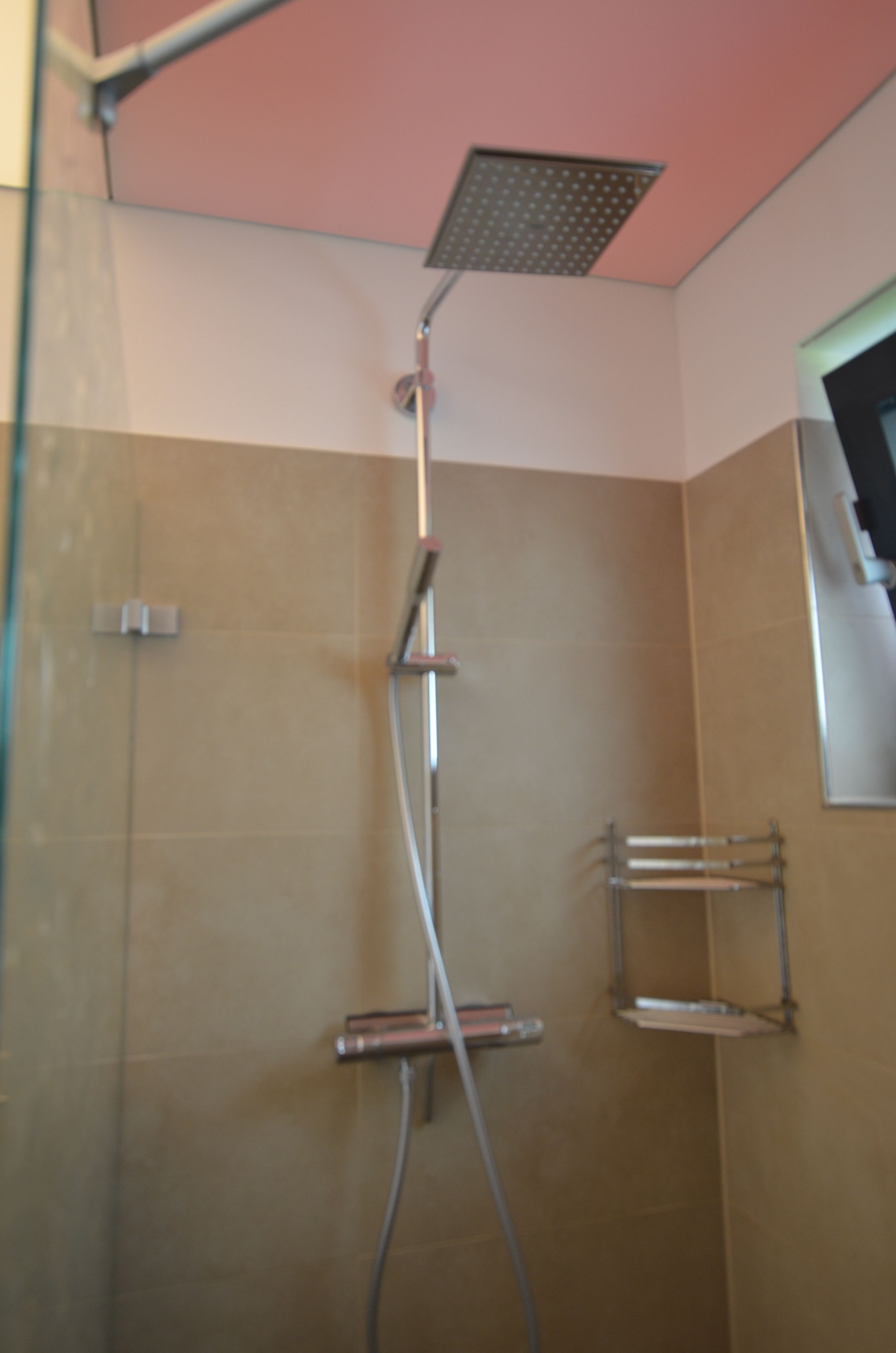 A shower with a handheld showerhead, a wall-mounted control panel, and a metal shelf unit.