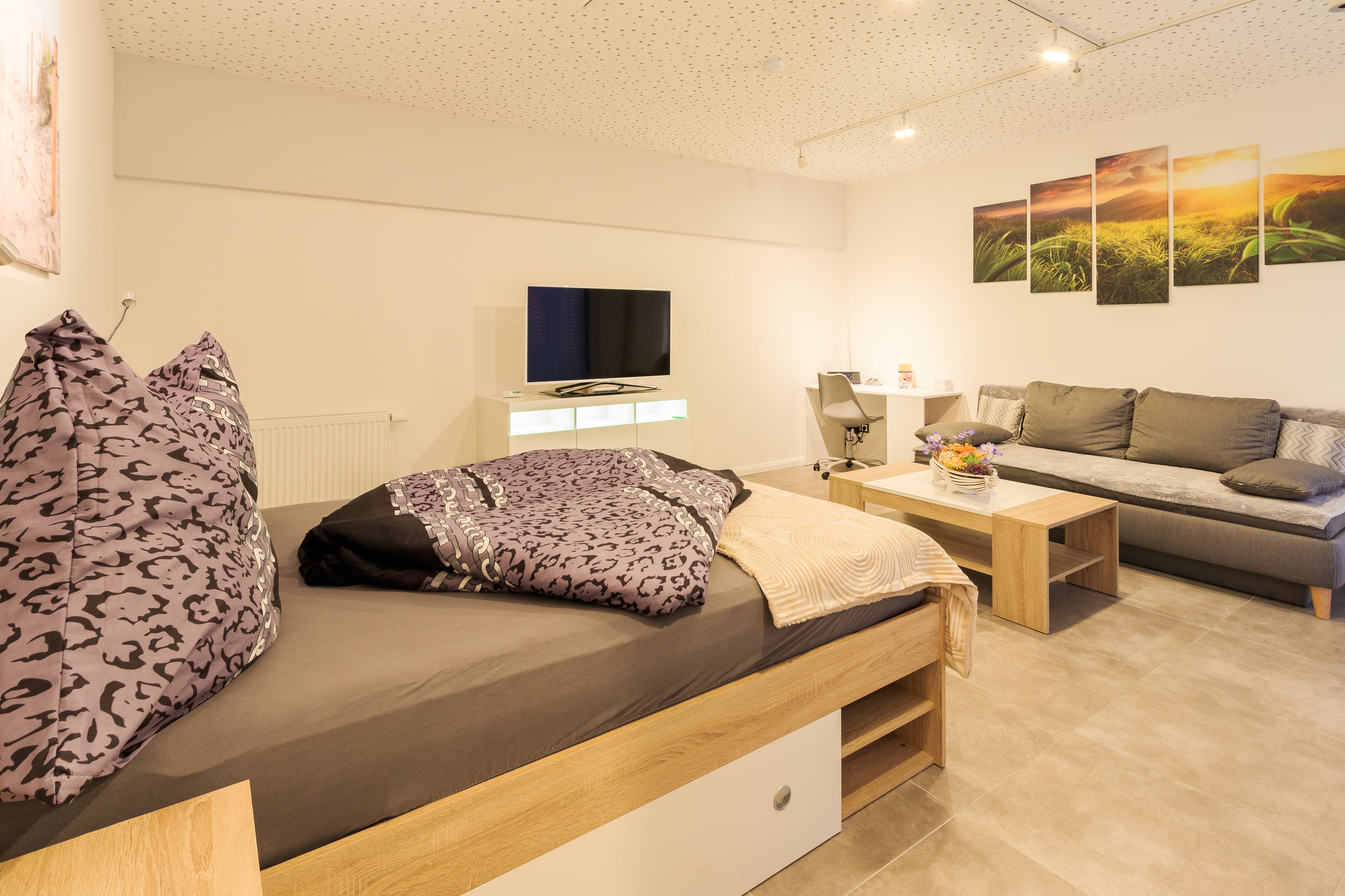 Apartament Comfort, 1 llit doble i sofà llit, no fumadors, cuina | Caixa forta a l'habitació, escriptori i planxa i posts de planxar 