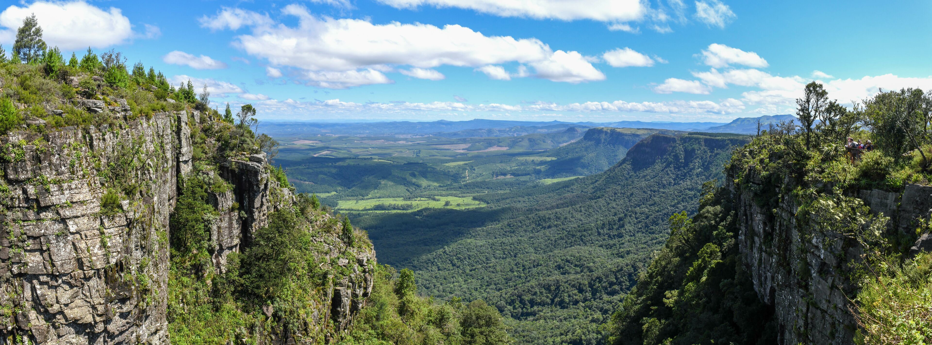 Un paisaje montañoso con riscos rocosos y un bosque denso.